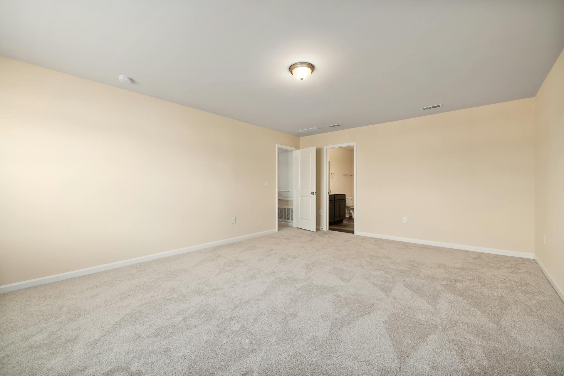 Carpet cleaning