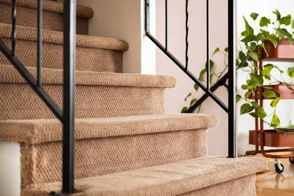 Carpet cleaning